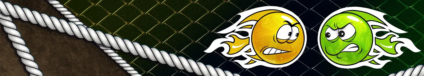 Международная лига ММА